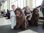 Превью фото № 201223