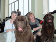 Превью фото № 201224