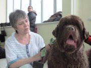 Превью фото № 201225