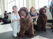 Превью фото № 201226