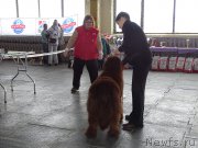 Превью фото № 201232