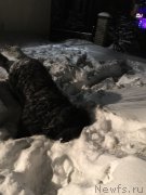 Превью фото № 201246