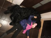 Превью фото № 201247