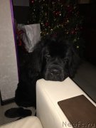 Превью фото № 201249