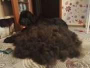 Превью фото № 201381