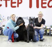 Превью фото № 201385