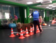 Превью фото № 201387