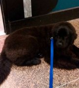 Превью фото № 201416