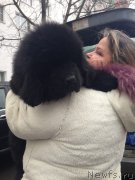 Превью фото № 201437