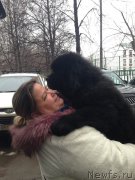 Превью фото № 201438