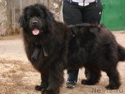 Превью фото № 201443