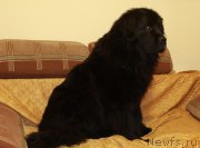 Превью фото № 201465