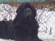 Превью фото № 201488