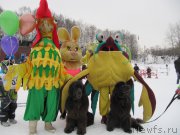 Превью фото № 201523