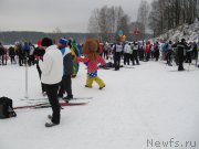 Превью фото № 201528