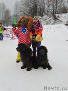 Превью фото № 201529