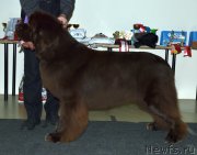 Превью фото № 201567