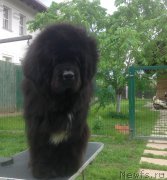 Превью фото № 201624