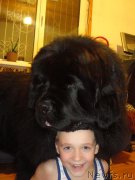 Превью фото № 201630