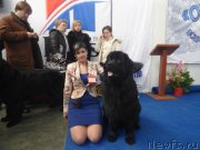 Превью фото № 201634