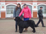 Превью фото № 201635