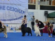 Превью фото № 201636