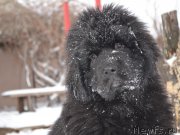 Превью фото № 201656