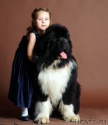 Превью фото № 201659