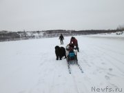 Превью фото № 201672