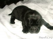 Превью фото № 201697