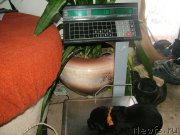 Превью фото № 201701