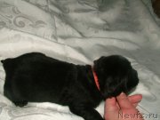 Превью фото № 201706