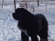 Превью фото № 201727