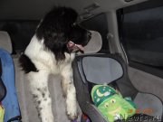 Превью фото № 201768