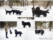 Превью фото № 201844