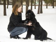 Превью фото № 201845