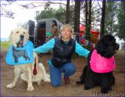 Превью фото № 201865