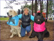 Превью фото № 201866