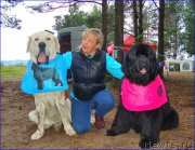 Превью фото № 201867