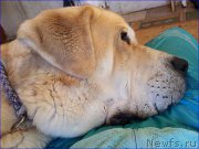 Превью фото № 201870