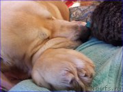 Превью фото № 201871