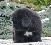 Превью фото № 201880