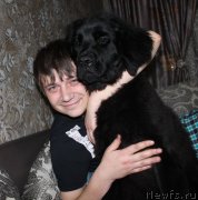 Превью фото № 201906