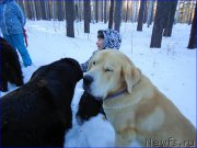 Превью фото № 201910