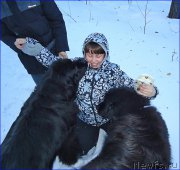 Превью фото № 201912