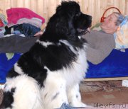 Превью фото № 201940