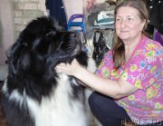 Превью фото № 201942