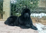 Превью фото № 202012