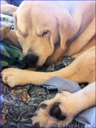 Превью фото № 202042