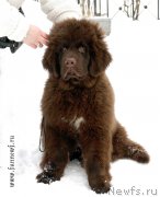 Превью фото № 202053